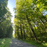 Review photo of Moshannon State Forest by kallan , July 30, 2022