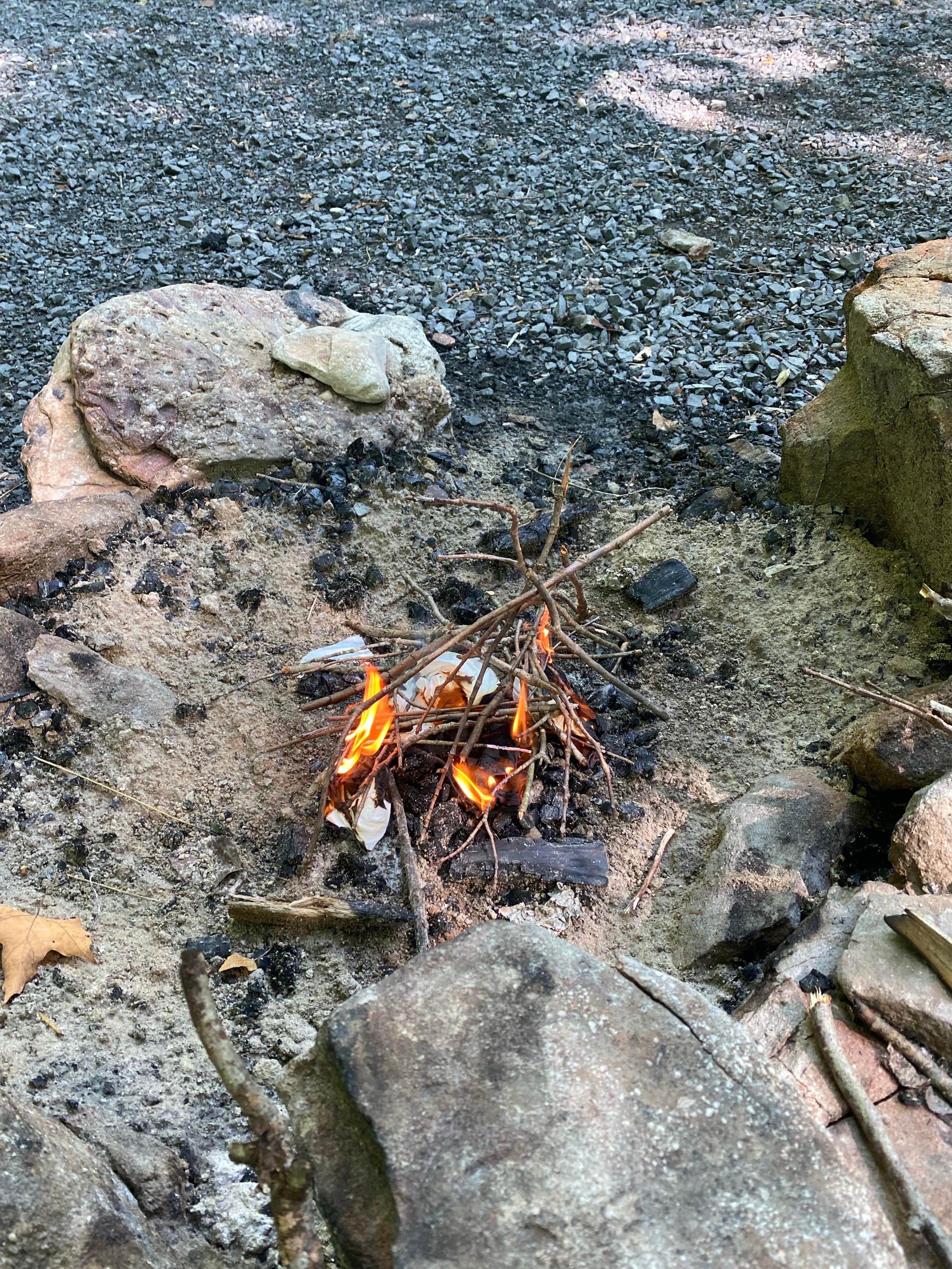 Camper-submitted photo at Medix Run Camping Area — Moshannon State Forest near Clearfield, PA