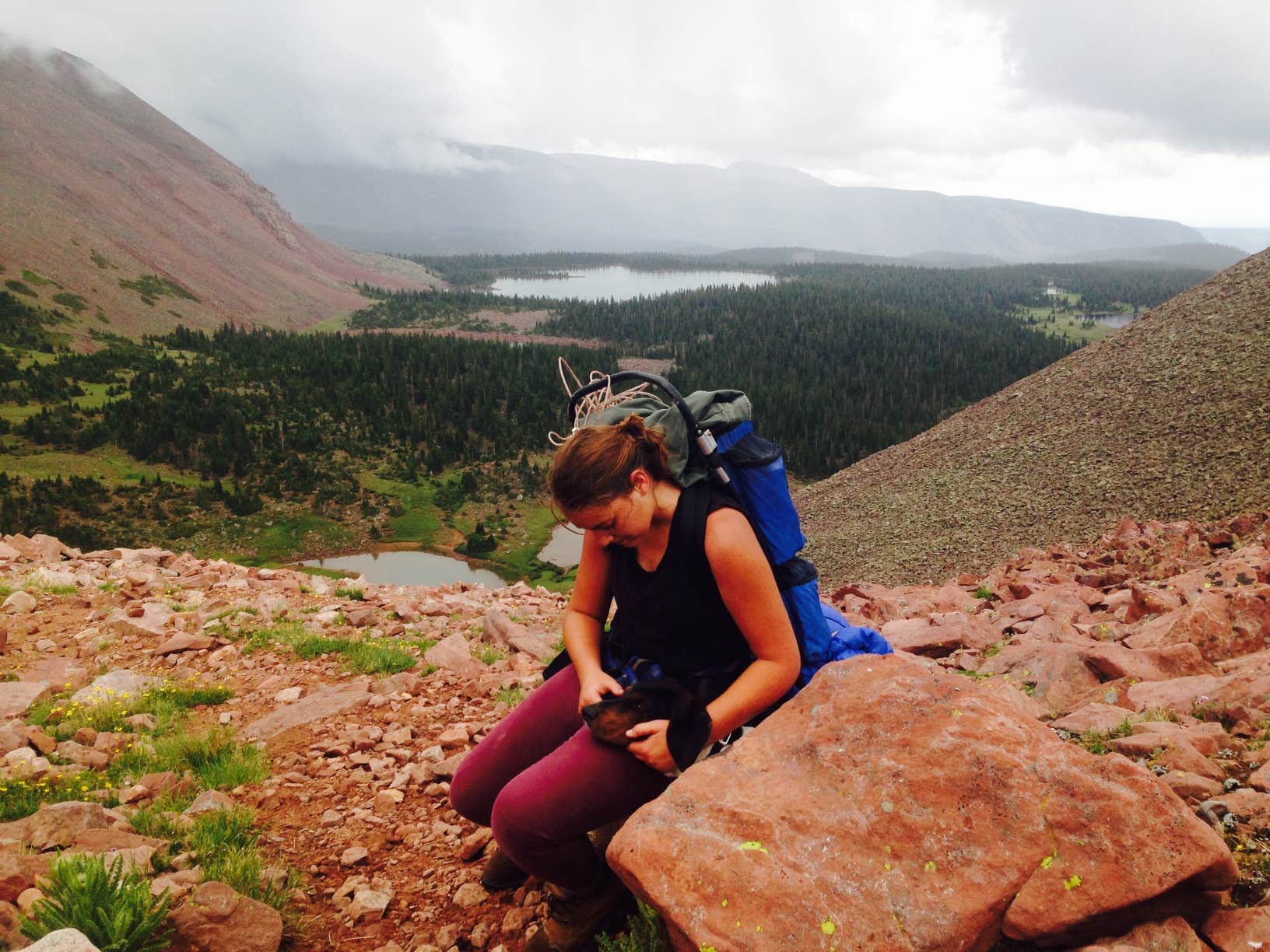 Camper-submitted photo at Swift Creek near Mountain Home, UT