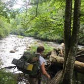 Review photo of Deep Creek Campground — Great Smoky Mountains National Park by Cody K., July 22, 2018