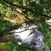 Review photo of Hoh Campground — Olympic National Park by Carla S., July 27, 2016