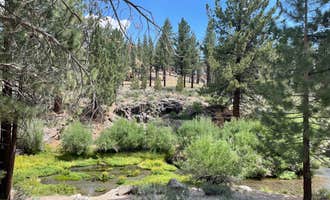 Camping near Upper Deadman Campground: Big Springs Campground, Inyo National Forest, California