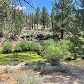Review photo of Big Springs Campground by Jessica B., July 31, 2022
