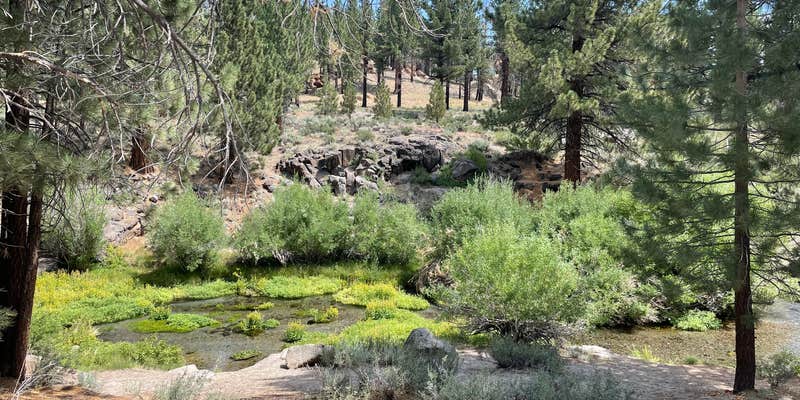 Camper submitted image from Big Springs Campground