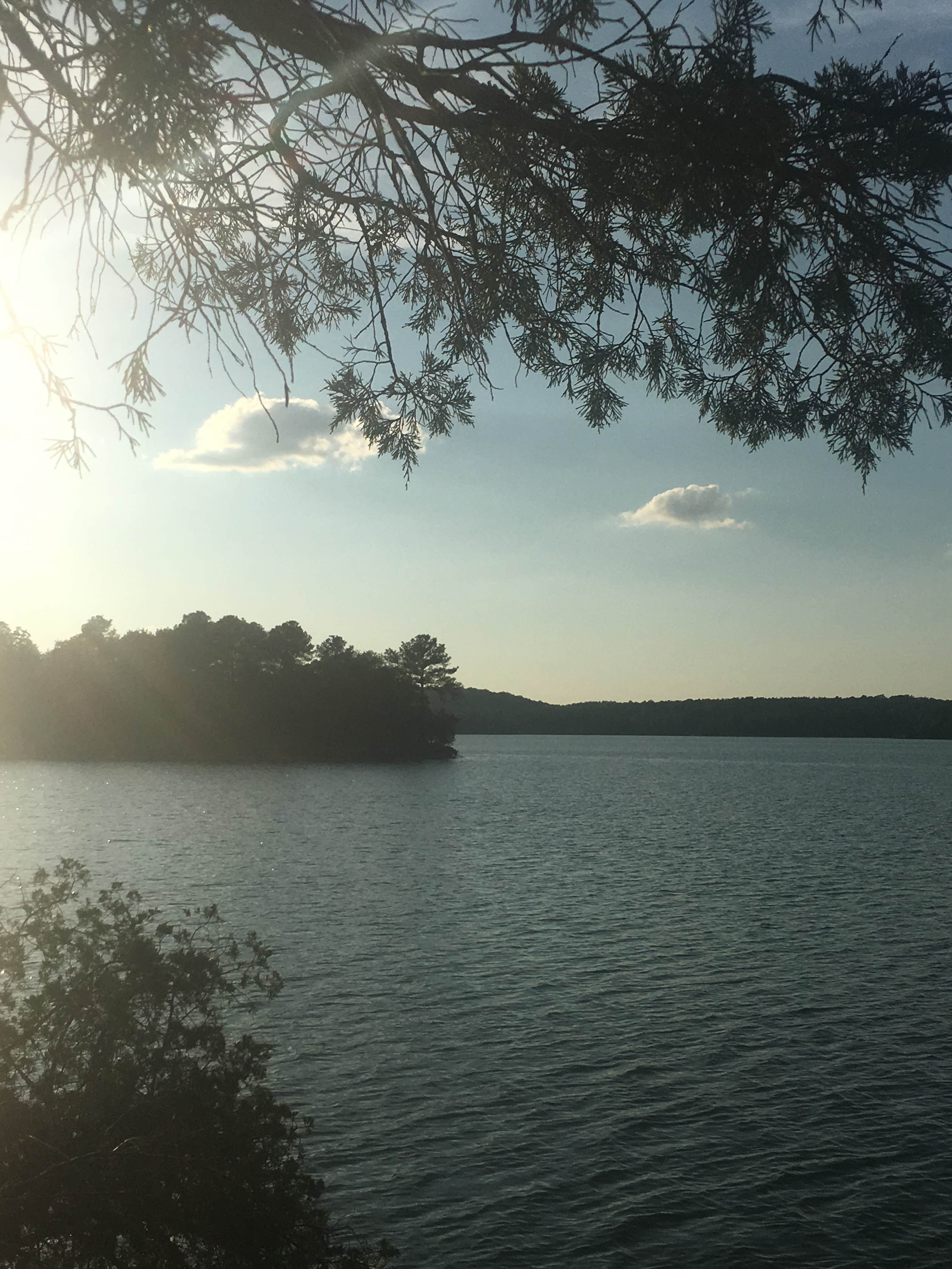 Camper submitted image from Calhoun Falls State Park Campground - 4