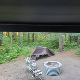 Review photo of Hartwick Pines State Park Campground by Barbara K., July 31, 2022