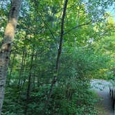 Review photo of Hartwick Pines State Park Campground by Barbara K., July 31, 2022