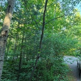 Review photo of Hartwick Pines State Park by Barbara K., July 31, 2022