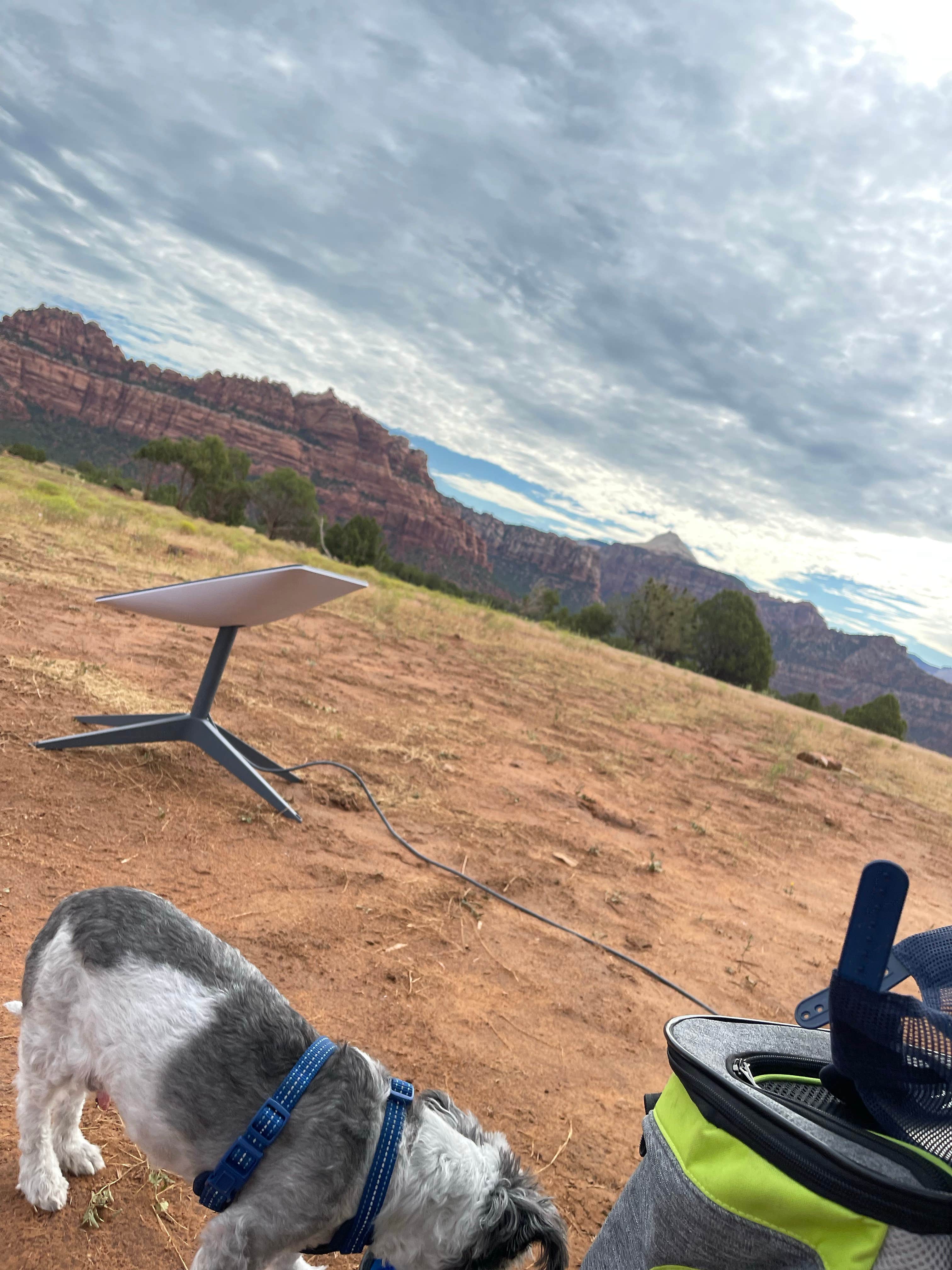 Camper submitted image from Zion Wright Family Ranch - 4
