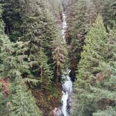 Review photo of Hoh Campground — Olympic National Park by Carla S., July 27, 2016