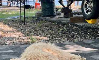 Stephani K.'s photo of camping with pets at Blue Bill Point near Kellyville, OK