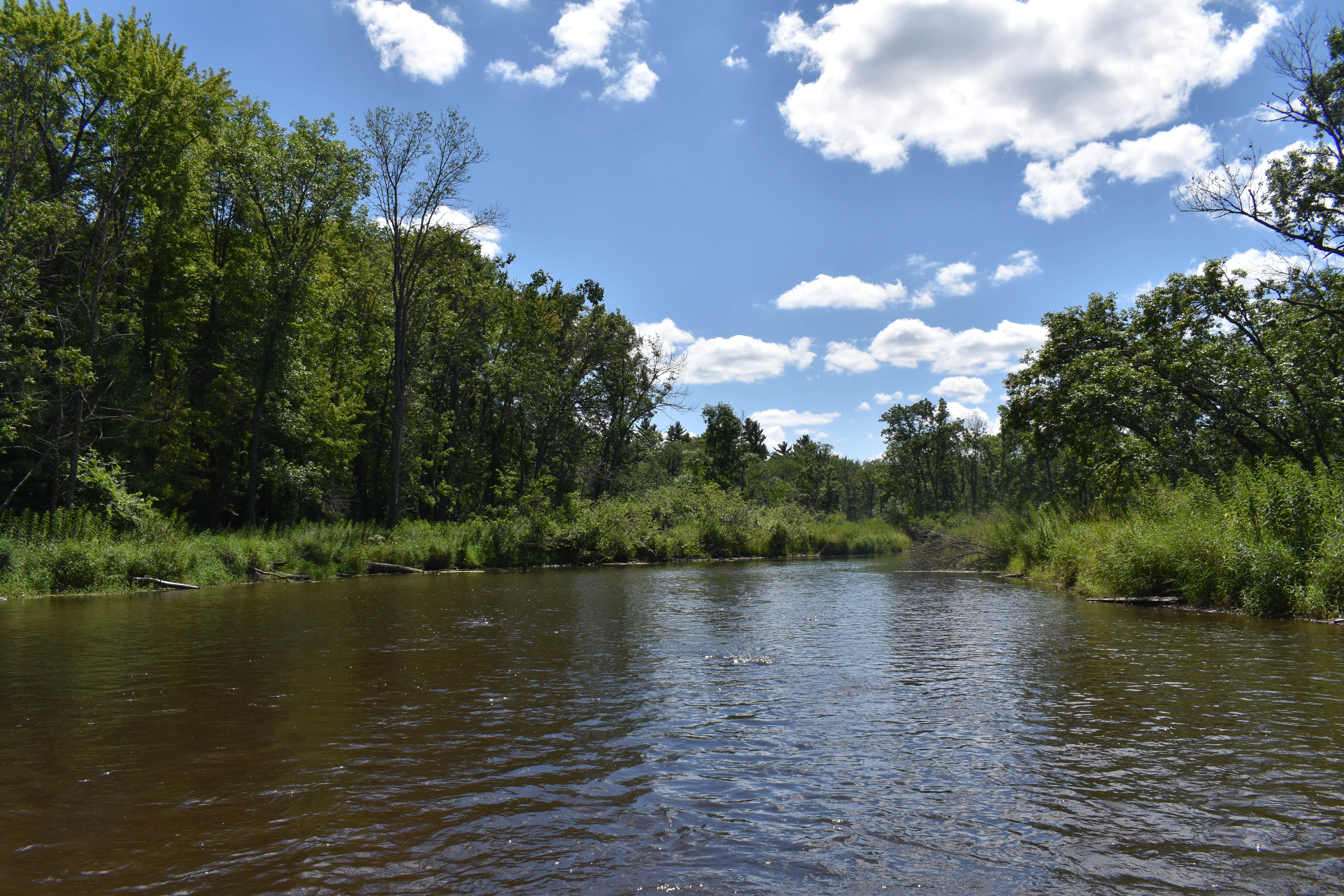 Camper-submitted photo at Plover River Retreat near Birnamwood, WI