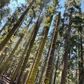 Review photo of Yosemite Pines RV Resort & Family Lodging by David T., July 31, 2022