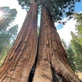 Review photo of Lake Isabella-Kern River KOA by Ricky S., July 31, 2022