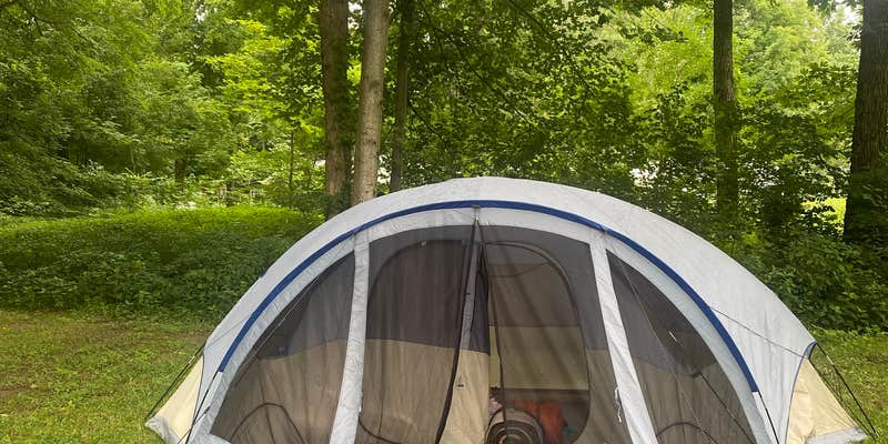 Camper submitted image from Free Spirit Campground