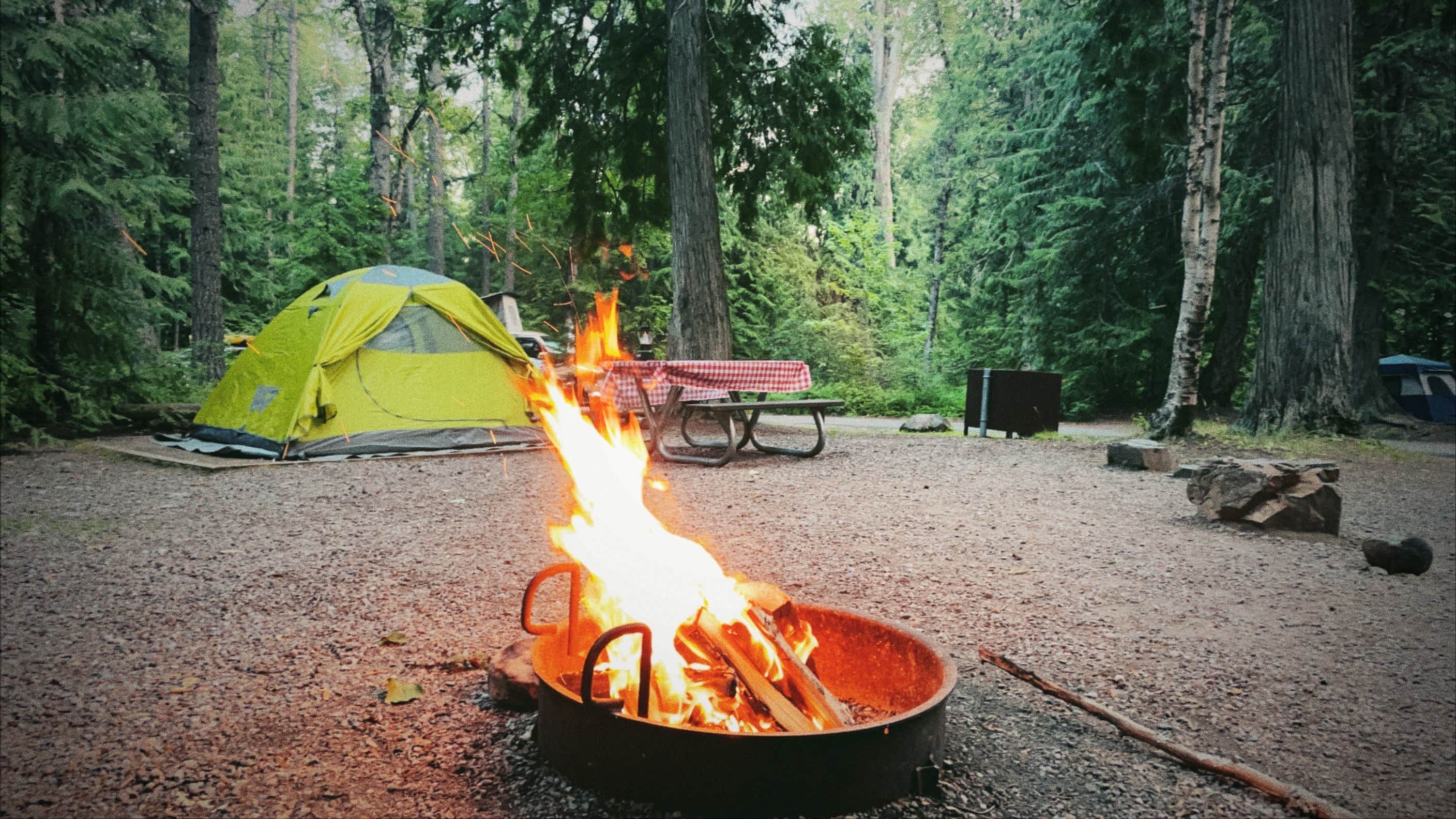 Jade P.'s photo at Fish Creek Campground — Glacier National Park near Glacier National Park
