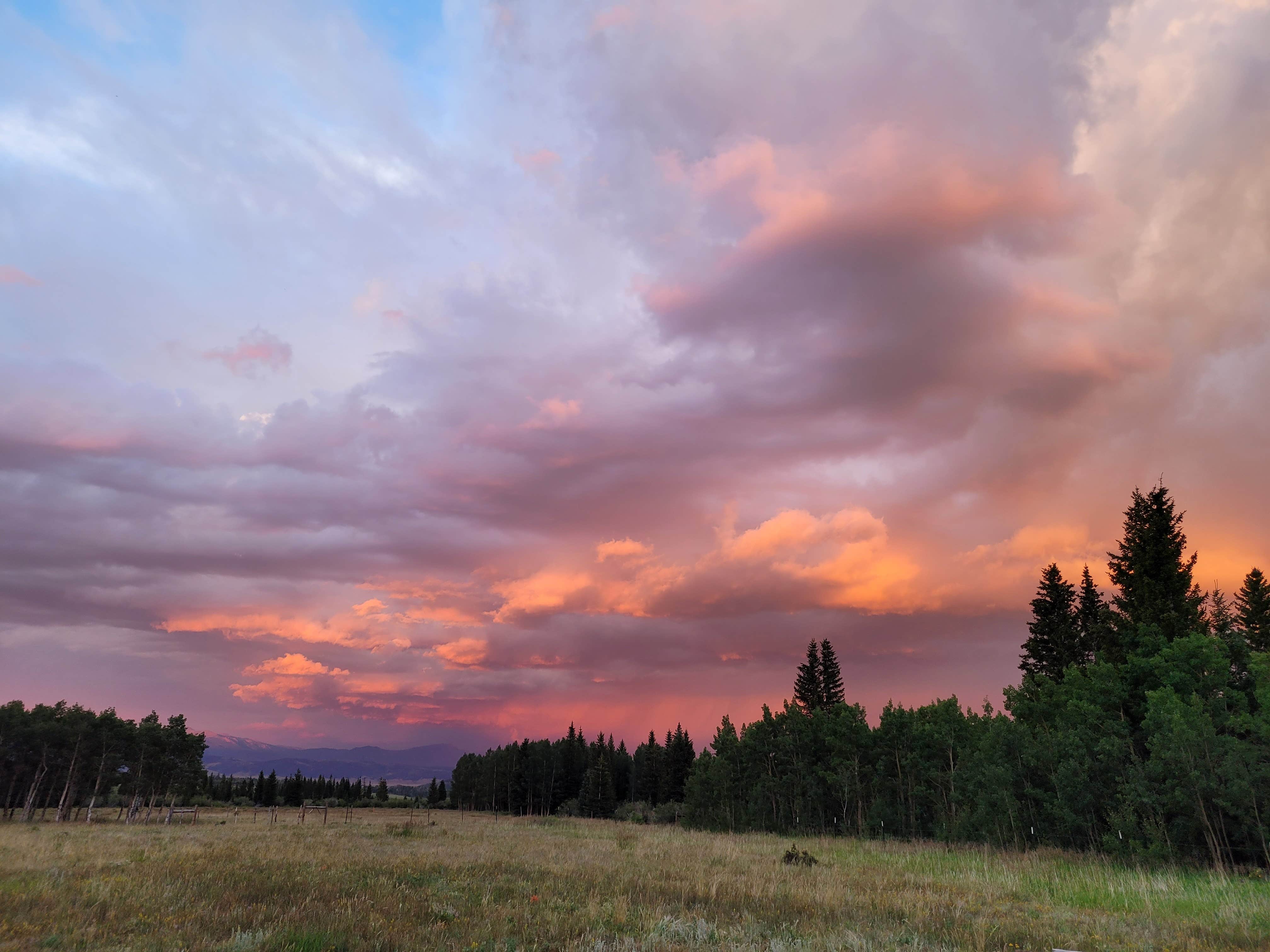 Camper-submitted photo at Michigan Creek near Como, CO