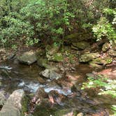 Review photo of Montreat Family Campground by Sierra L., August 1, 2022