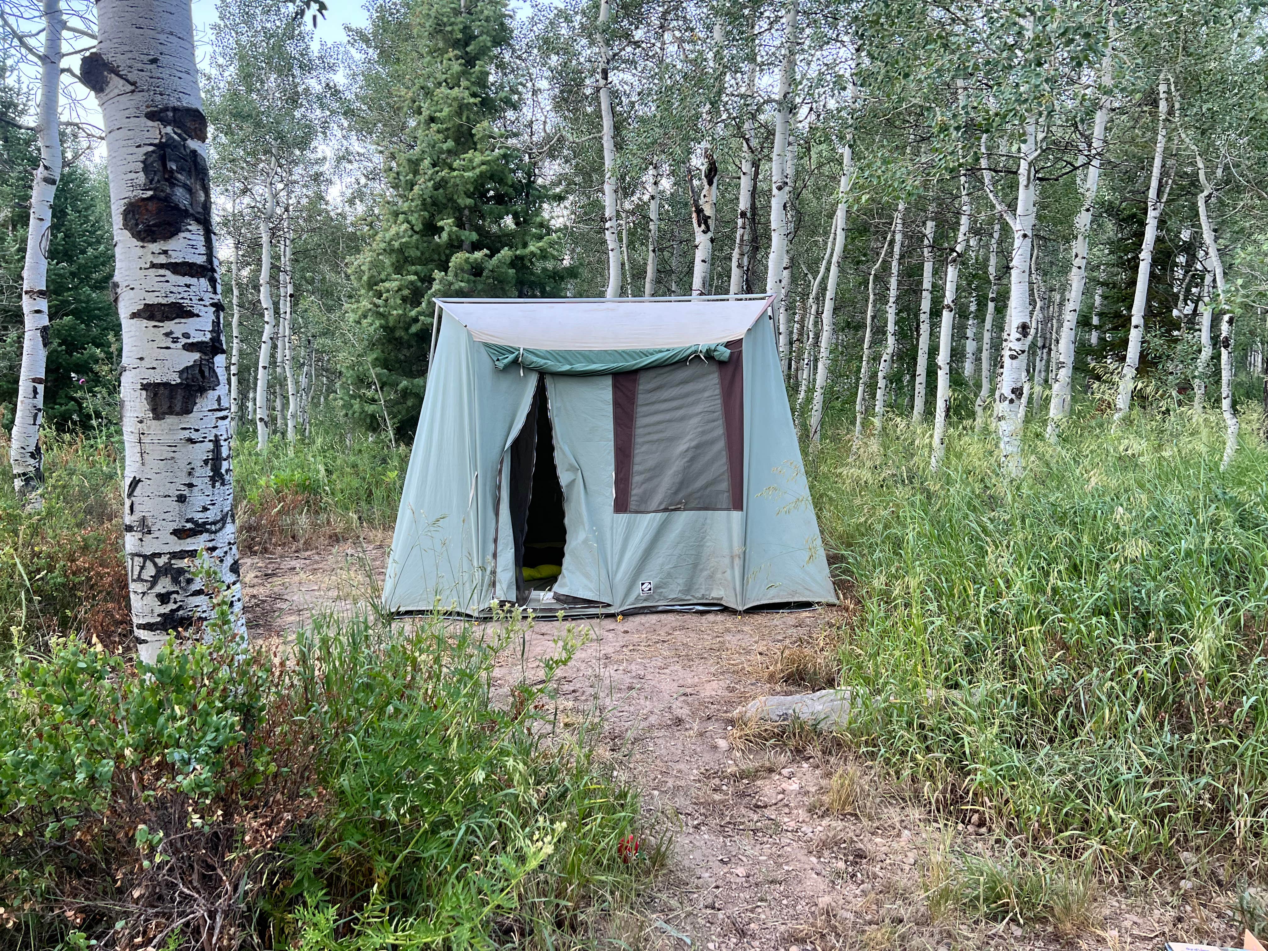Camper-submitted photo at Little Deer Creek Campground — Wasatch Mountain State Park near Snowbird, UT
