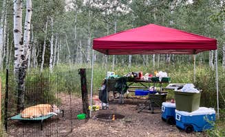 Denice P.'s photo at Little Deer Creek Campground — Wasatch Mountain State Park near Alta, UT