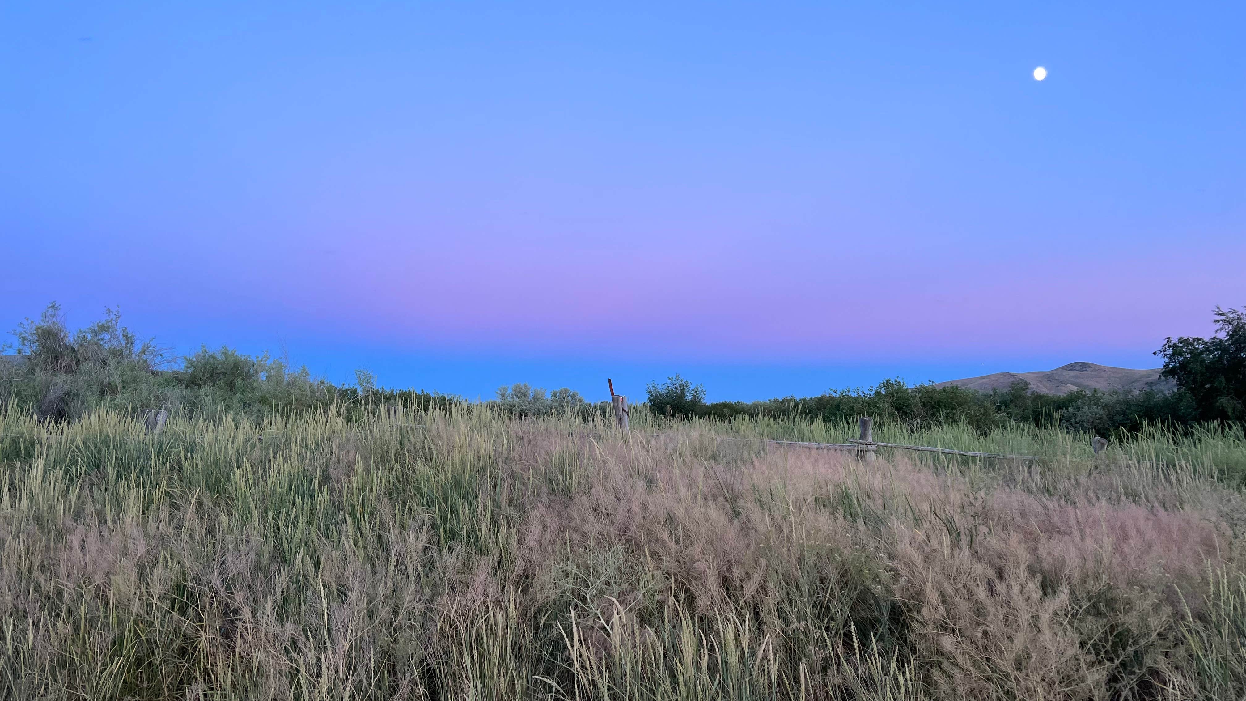 Camping near Silver Creek Public Access Dispersed: Silver Creek West Access Area, Picabo, Idaho