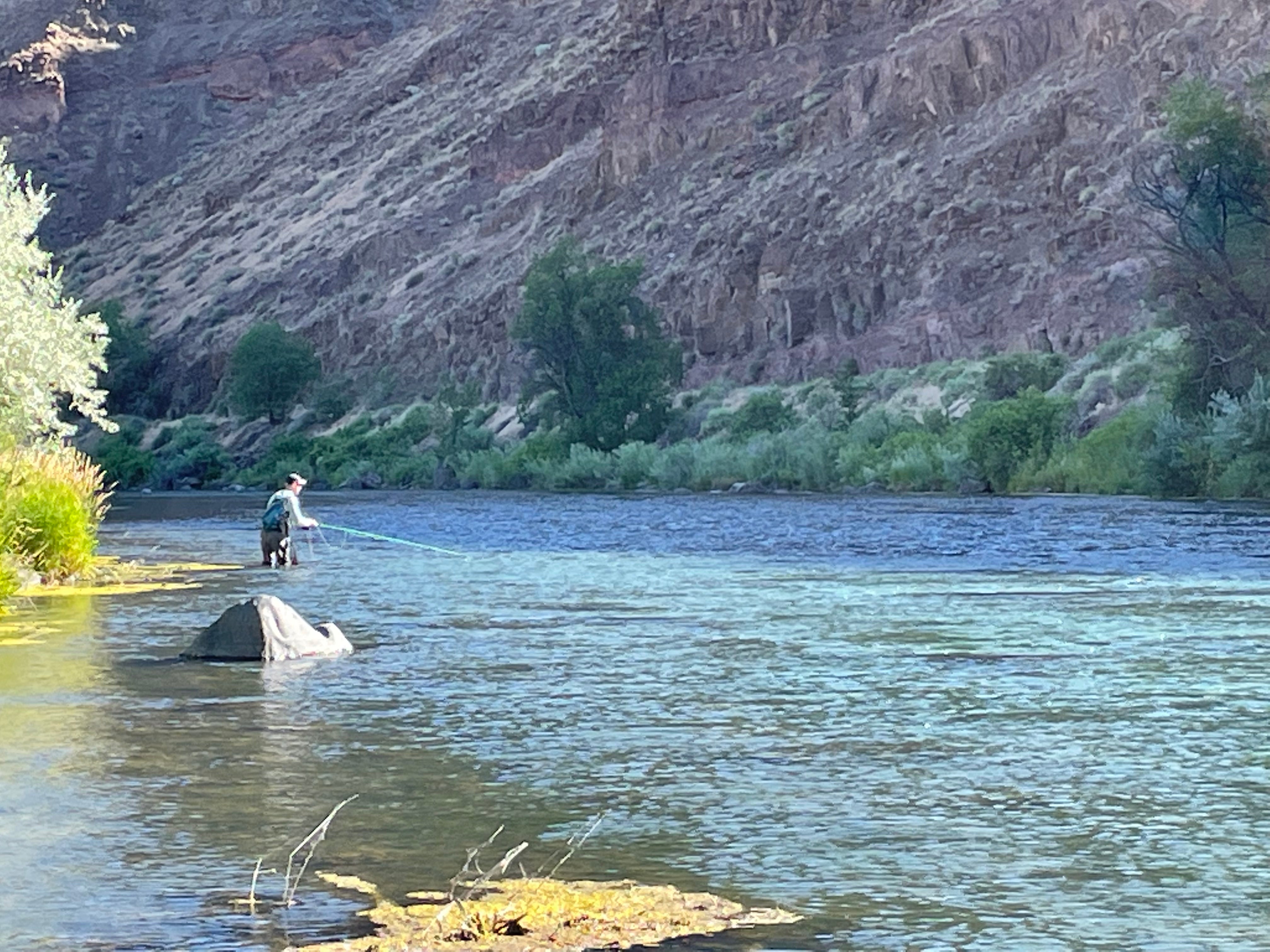 Camper submitted image from Owyhee River - Below Dam - Owyhee Dam Park - 1