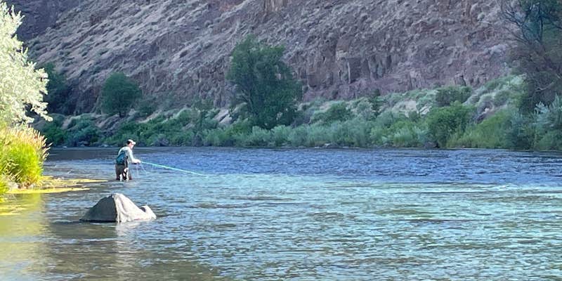 Camper submitted image from Owyhee River - Below Dam - Owyhee Dam Park