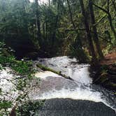 Review photo of Hoh Campground — Olympic National Park by Carla S., July 27, 2016