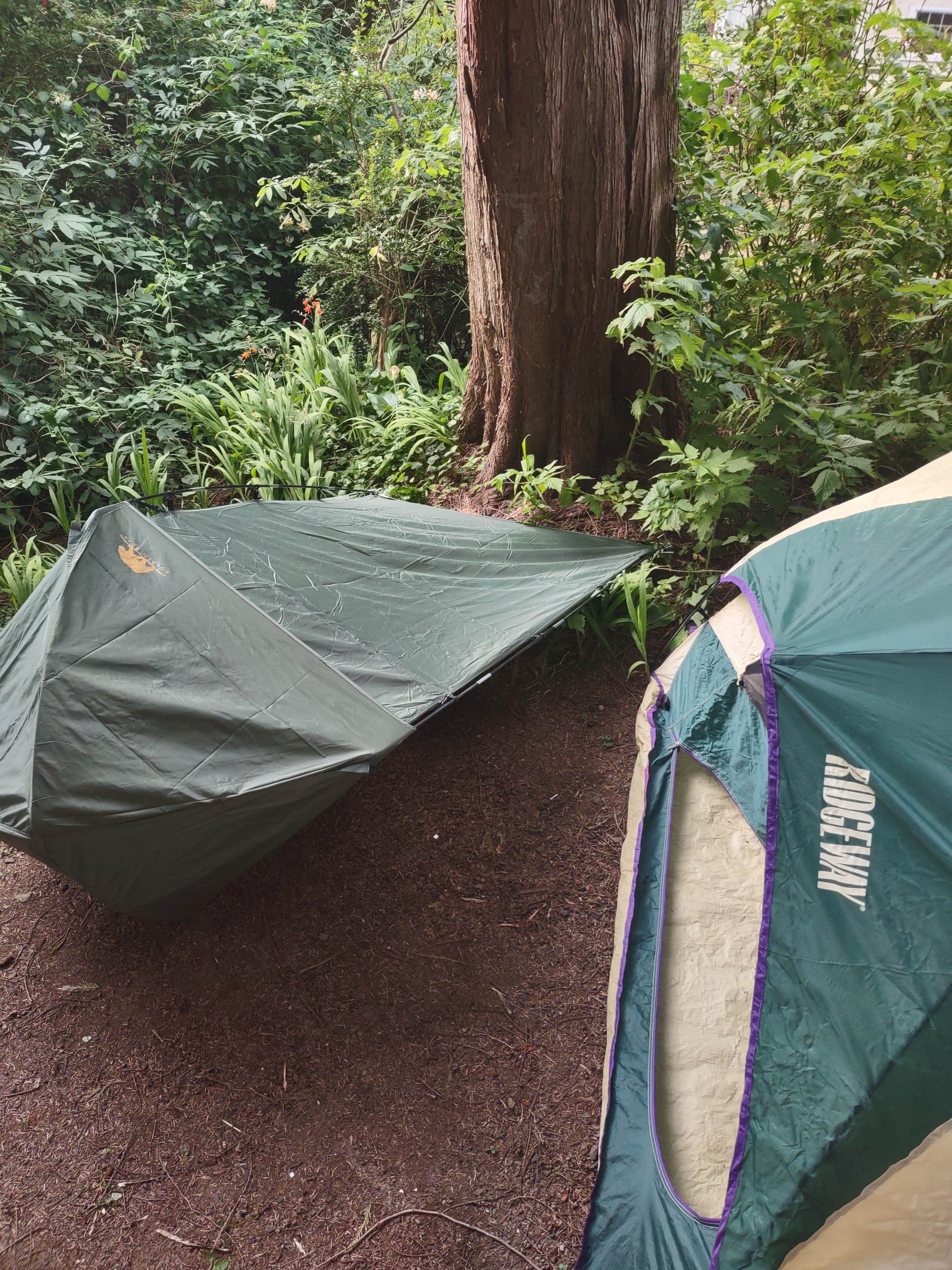 Jeanne C.'s photo at Boneheadz near Florence, OR