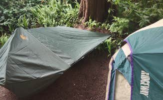 Jeanne C.'s photo at Boneheadz near Mapleton, OR