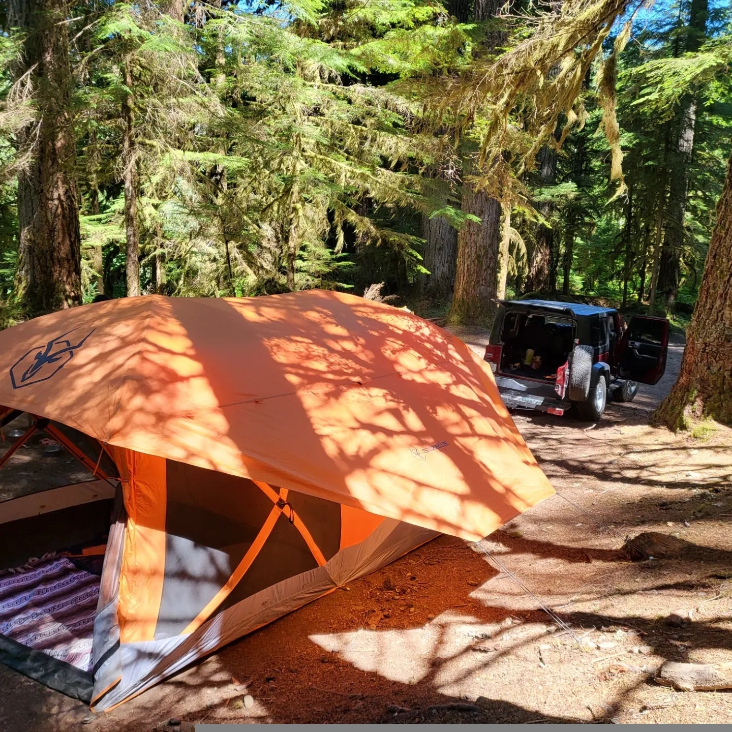 Camper submitted image from Dispersed Camping NF 2918 — Olympic National Park - 4