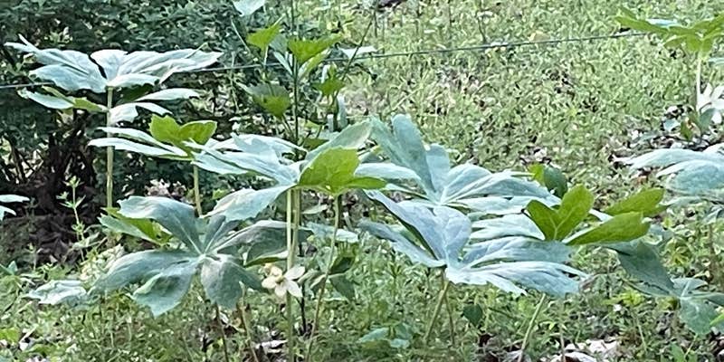 Camper submitted image from Crows Nest Campground