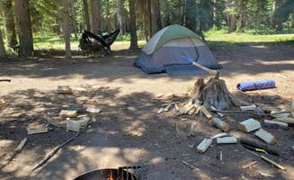 Victoria M.'s photo at Two Color Campground near Halfway, OR