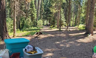 Victoria M.'s photo at Two Color Campground near Halfway, OR