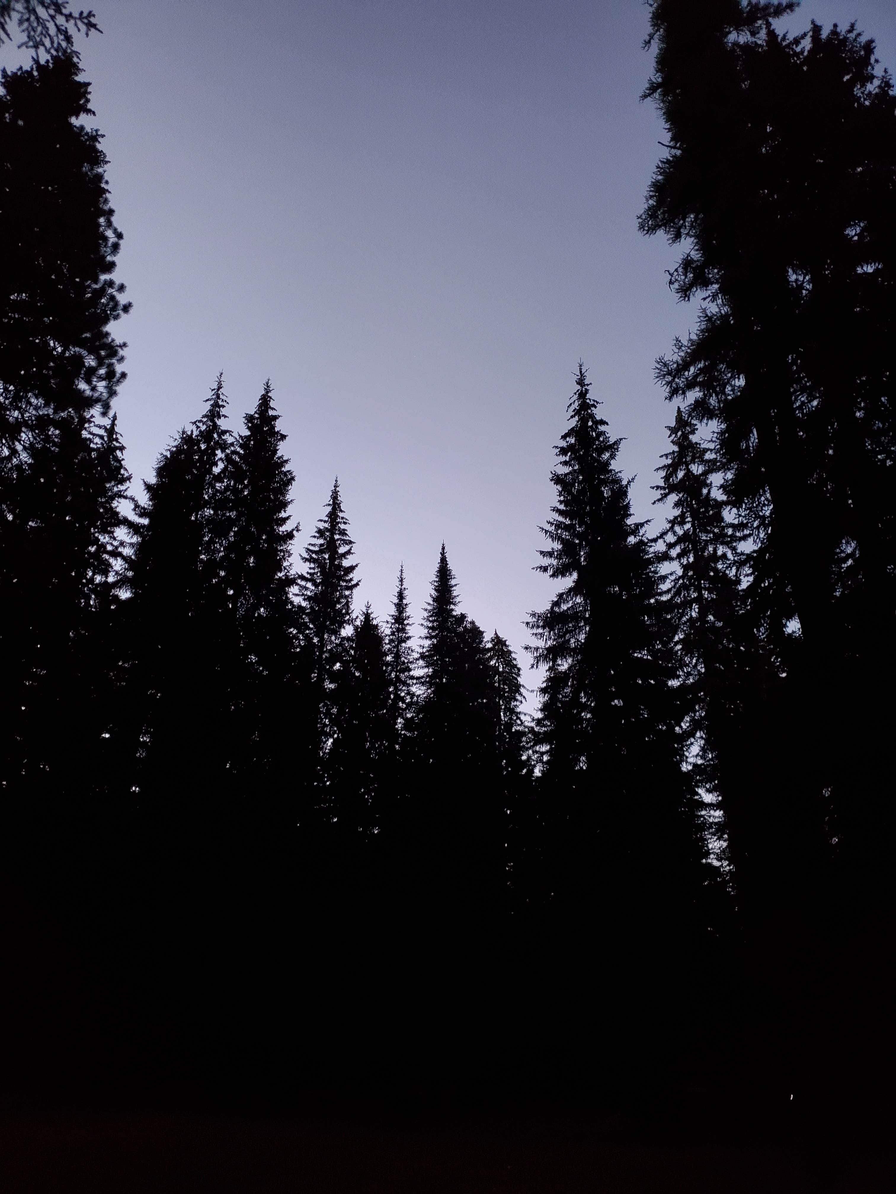 Camper-submitted photo at Two Color Campground near Halfway, OR