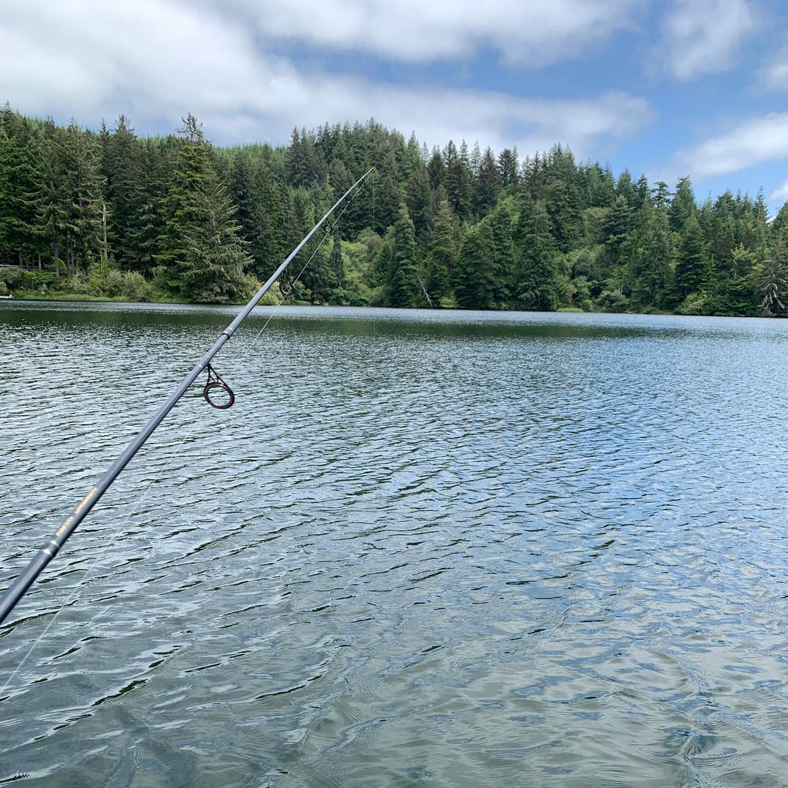 Mercer Lake Resort Camping The Dyrt