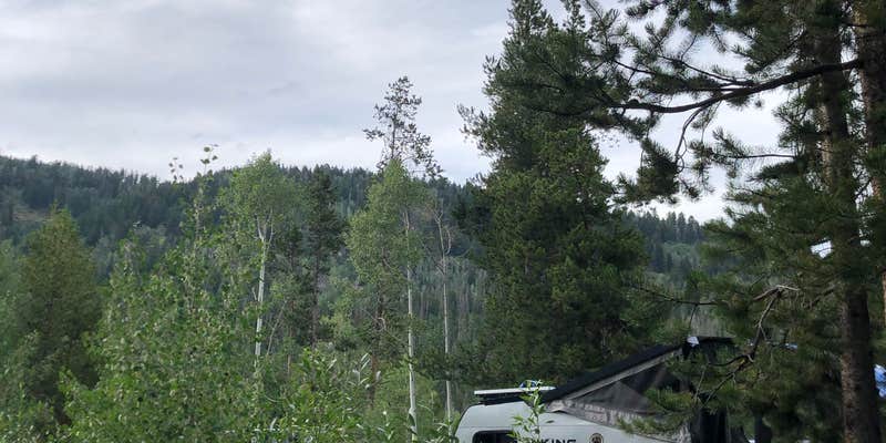 Camper submitted image from Shady Dell Campground — Uinta Wasatch Cache National Forest