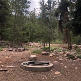 Review photo of Shady Dell Campground by Shantaye G., August 1, 2022