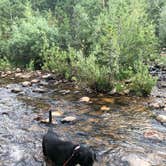 Review photo of Shady Dell Campground — Uinta Wasatch Cache National Forest by Shantaye G., August 1, 2022