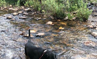 Shantaye G.'s photo of camping with pets at Shady Dell Campground — Uinta Wasatch Cache National Forest near Hanna, UT