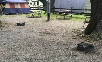 Cynthia S.'s photo at Mountaineer Campground near Townsend, TN