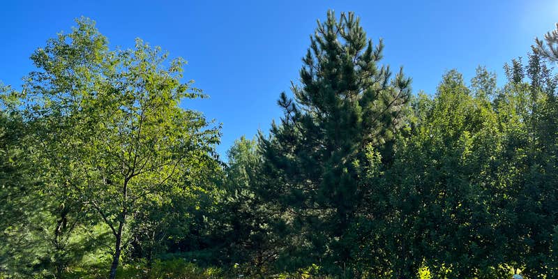 Camper submitted image from Haakwood State Forest Campground