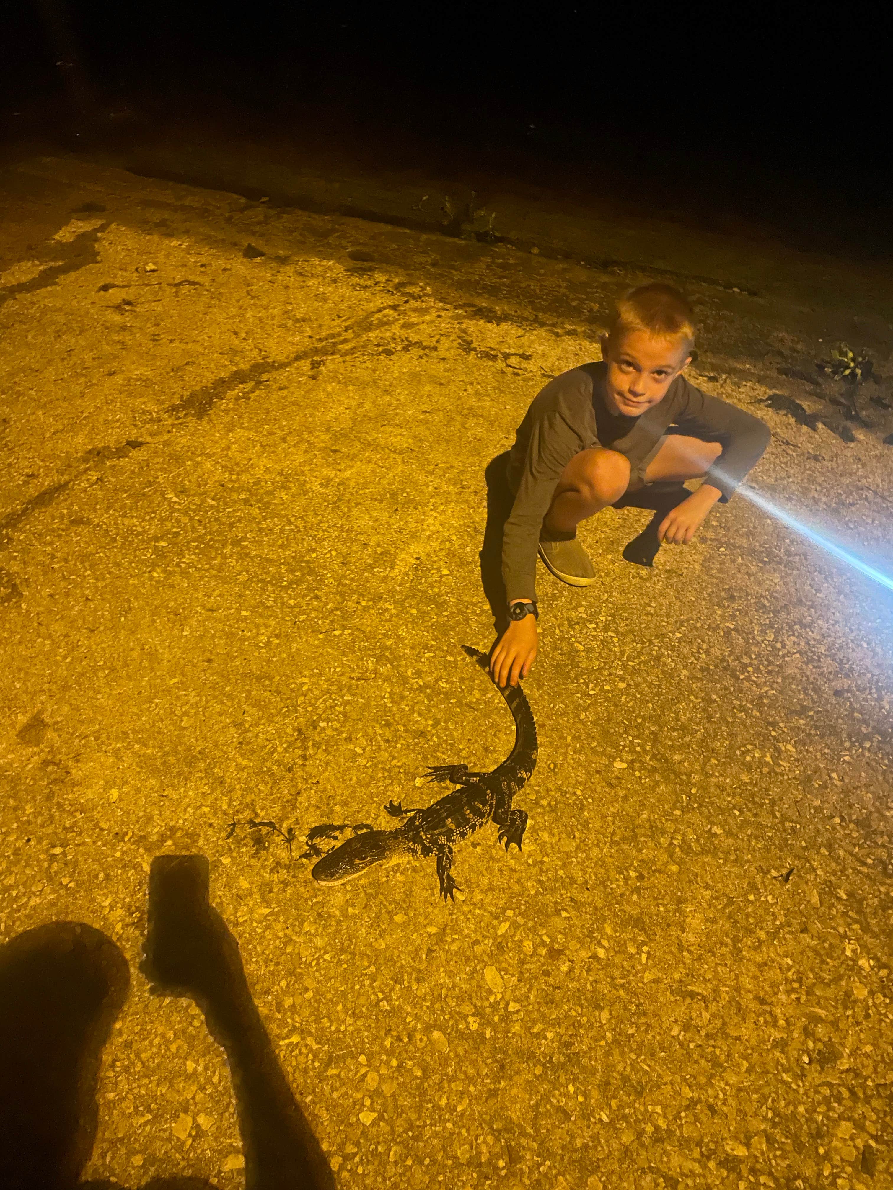 matthew M.'s photo of camping with pets at Trails End RV Park near Webster, FL