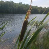 Review photo of French Creek State Park Campground by Jen R., July 22, 2018
