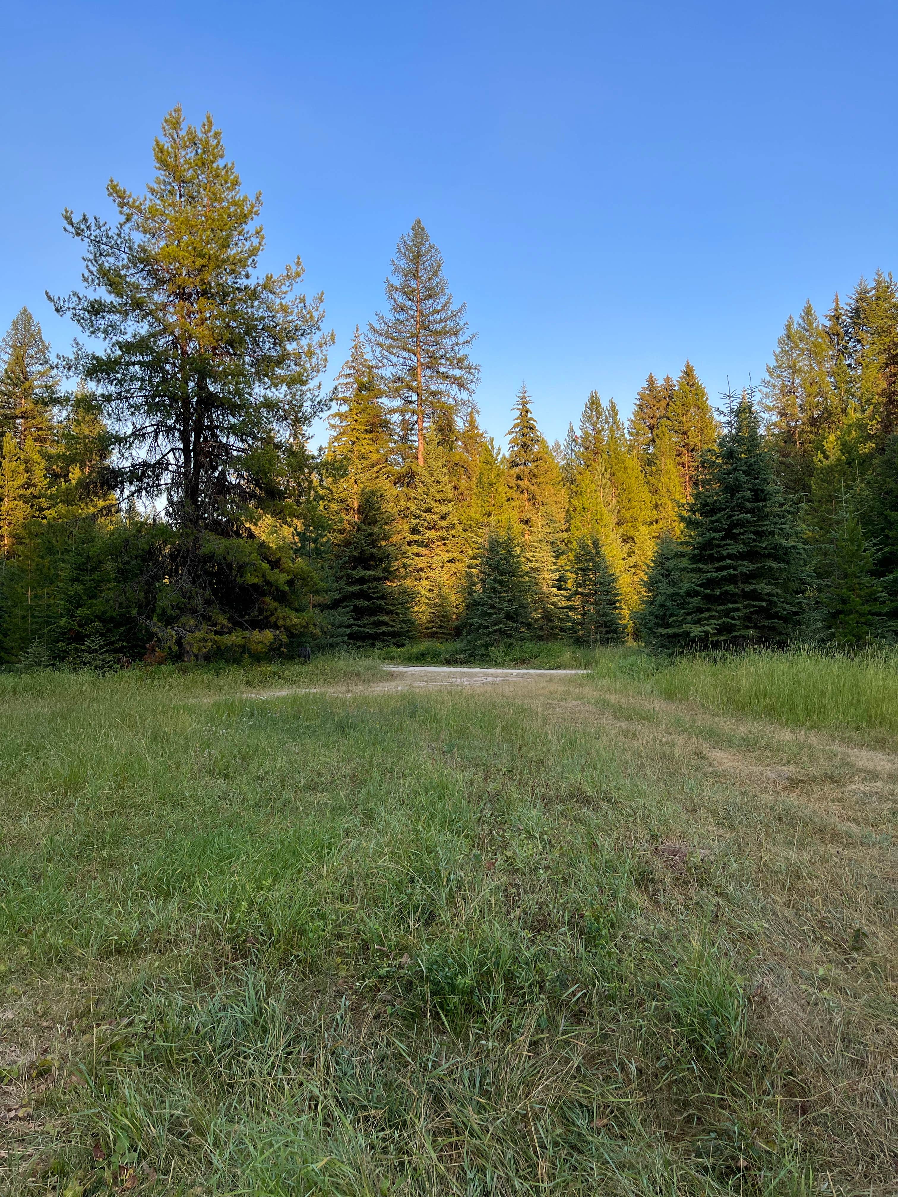 Camper-submitted photo at Blair Flats near Dayton, MT