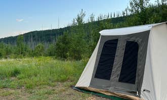 Camping near North Fork Flathead River Camp: McGinnis Creek, West Glacier, Montana