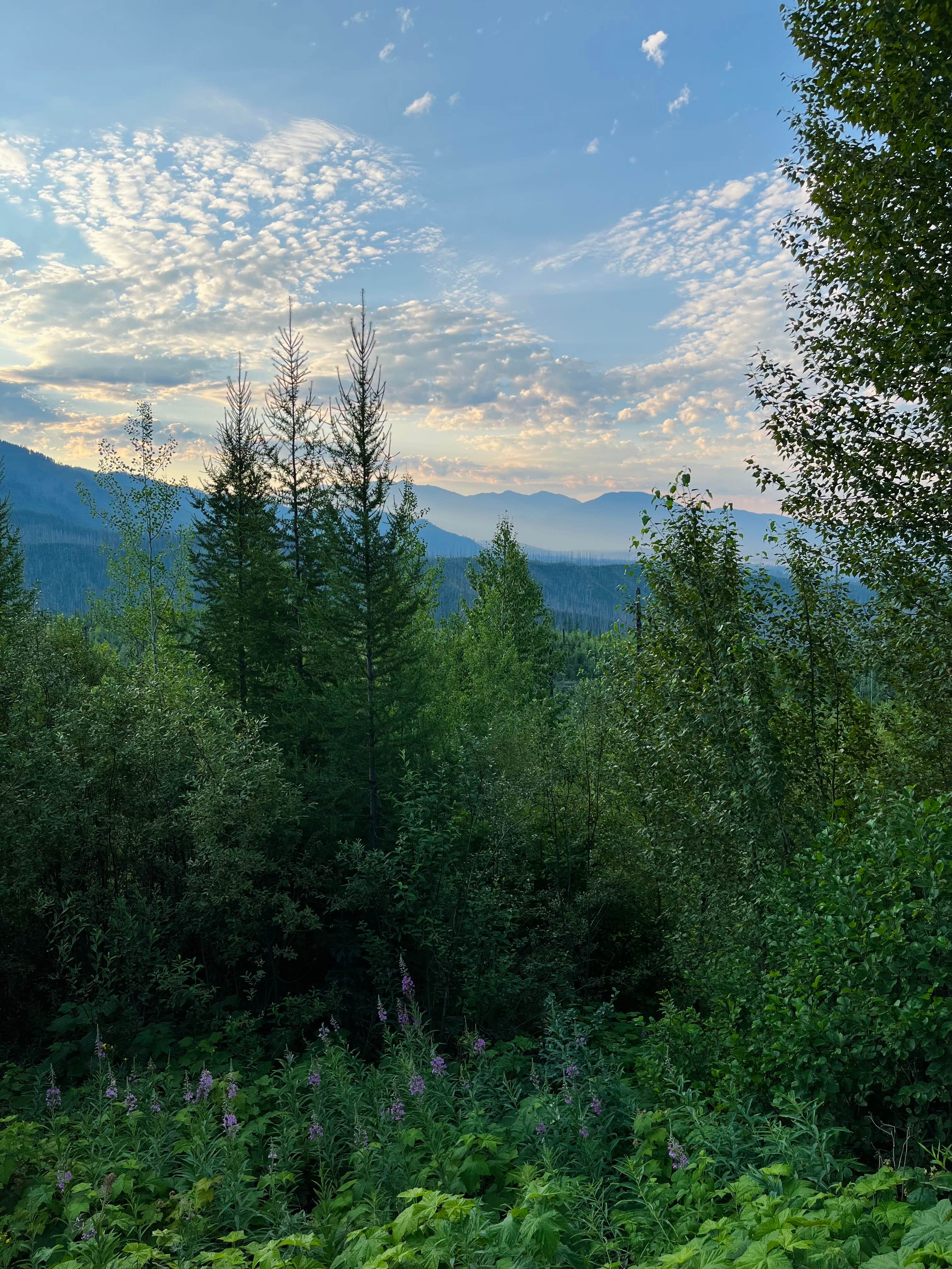 Camper-submitted photo at McGinnis Creek near Columbia Falls, MT