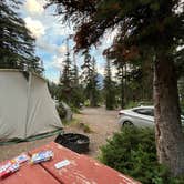 Review photo of Two Medicine Campground by Jess , August 1, 2022