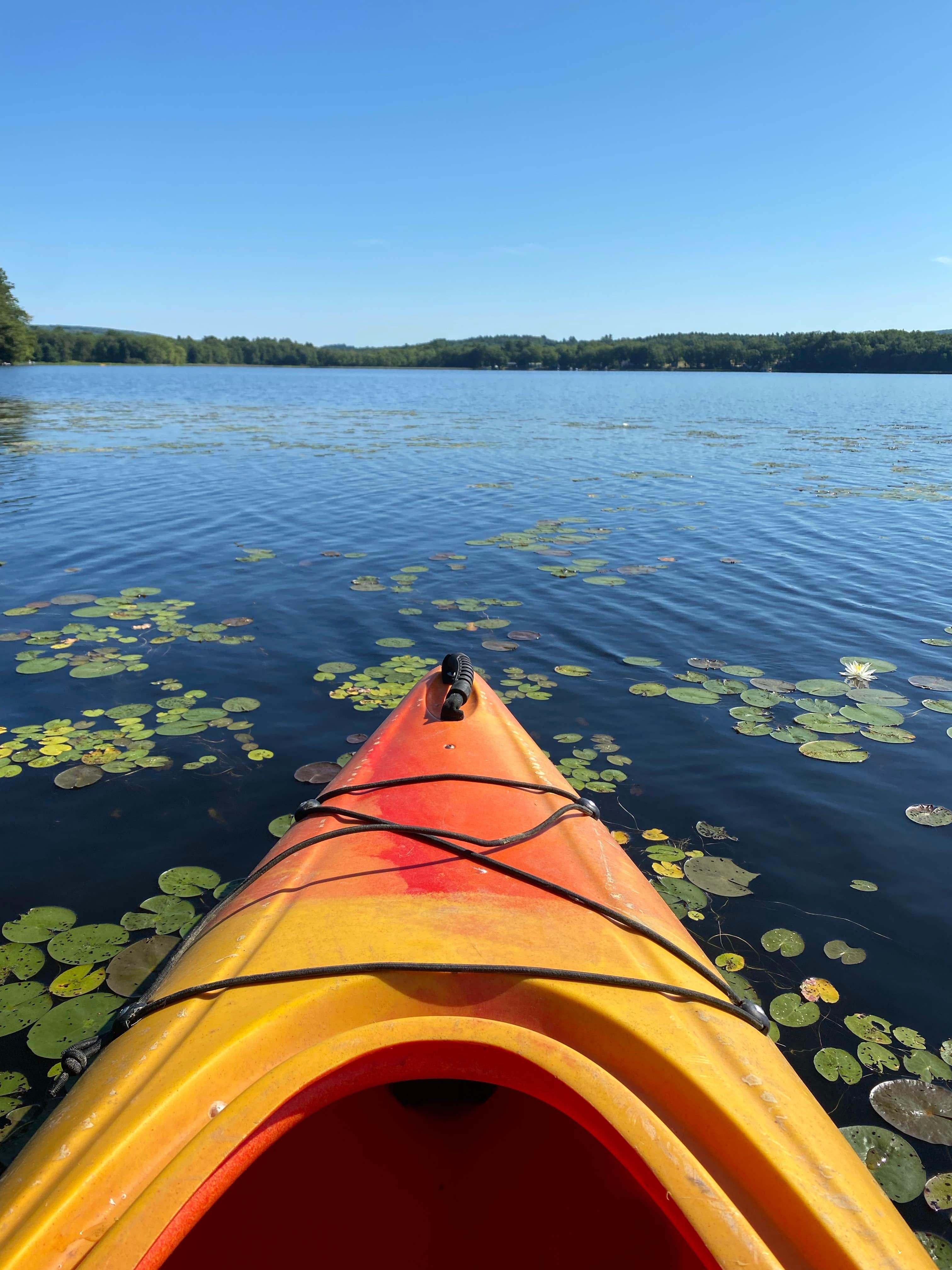 Camper submitted image from Sennebec Lake Campground - 5