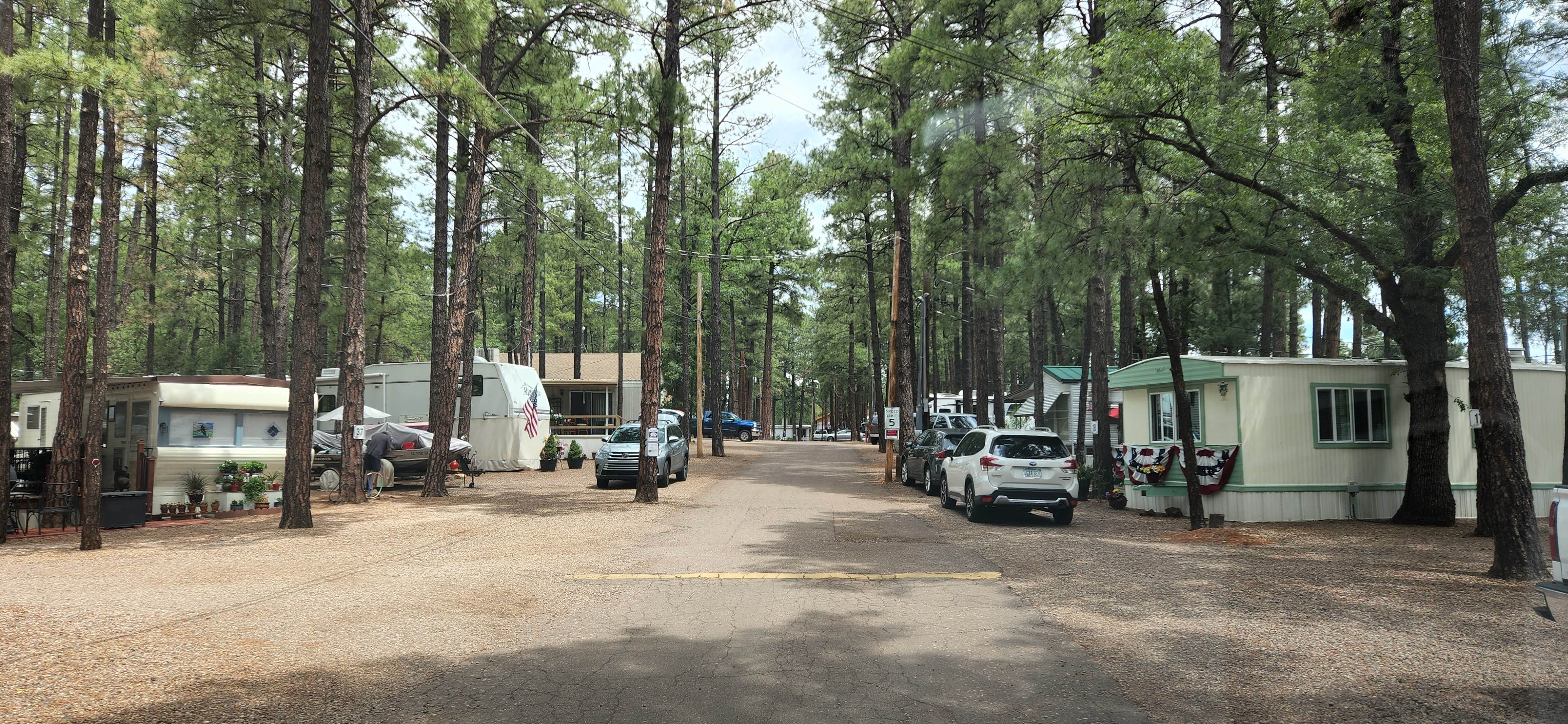 Camper submitted image from Ponderosa RV Resort - 3